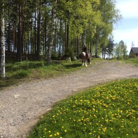 Grindhammaren B&B Ramsberg 외부 사진